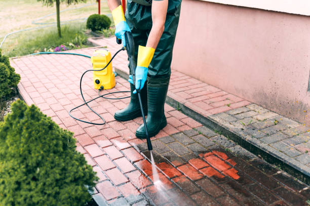 Best Affordable Power Washing  in Reed City, MI