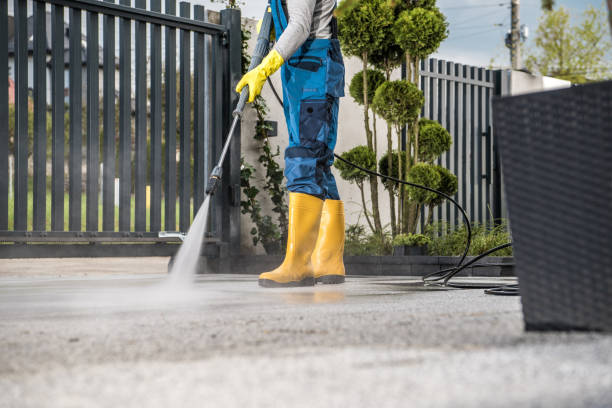 Best Roof Pressure Washing  in Reed City, MI