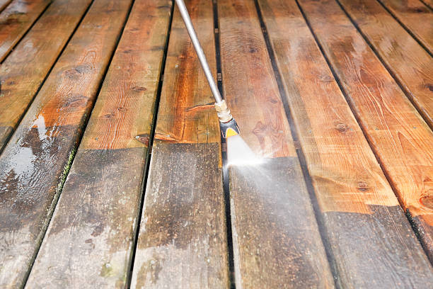 Best Commercial Building Pressure Washing  in Reed City, MI